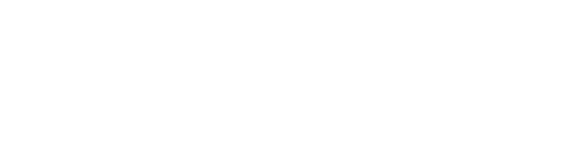 Lienhard Treuhand GmbH